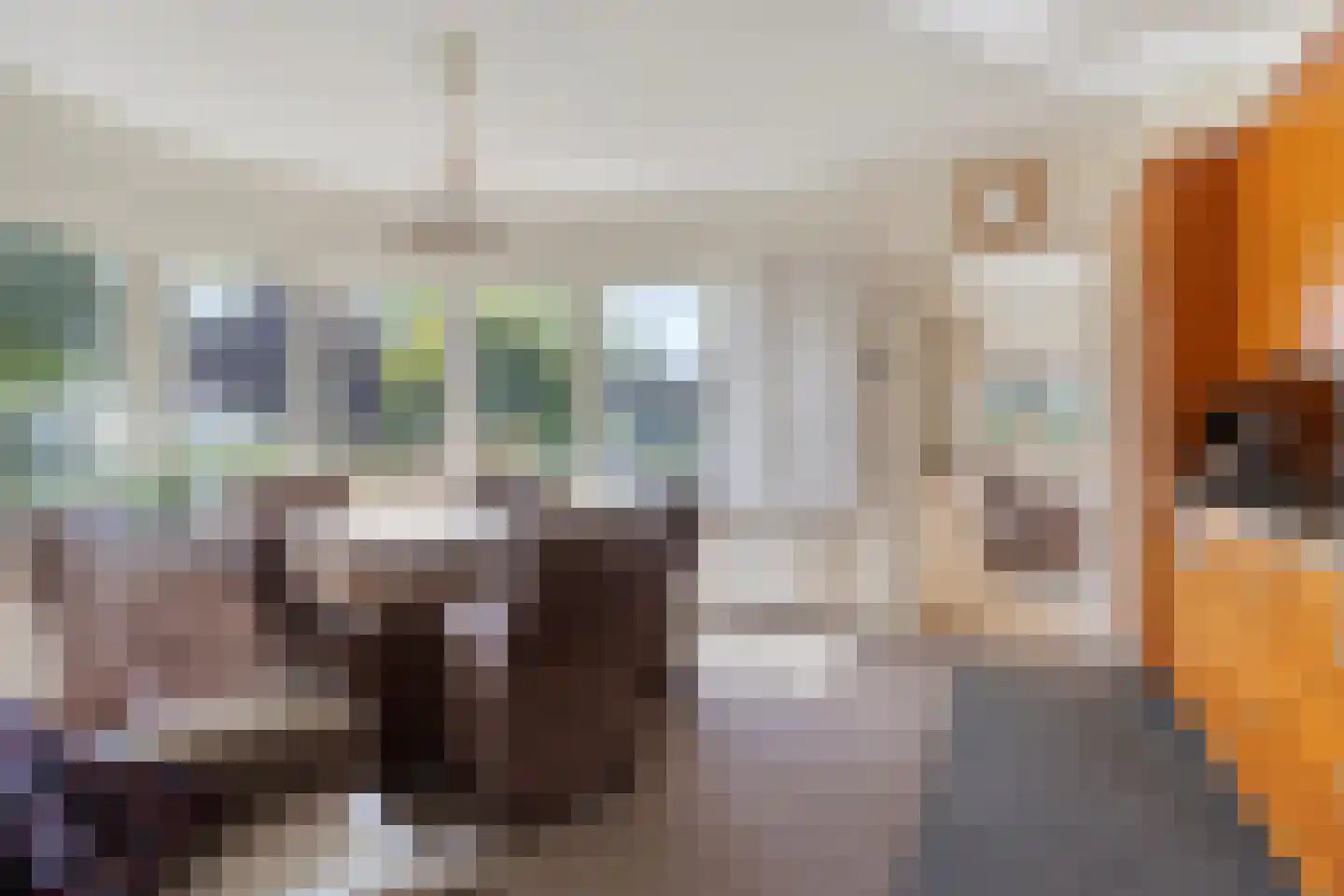 Gildehauserdijk 3 Denekamp thumbnail 16