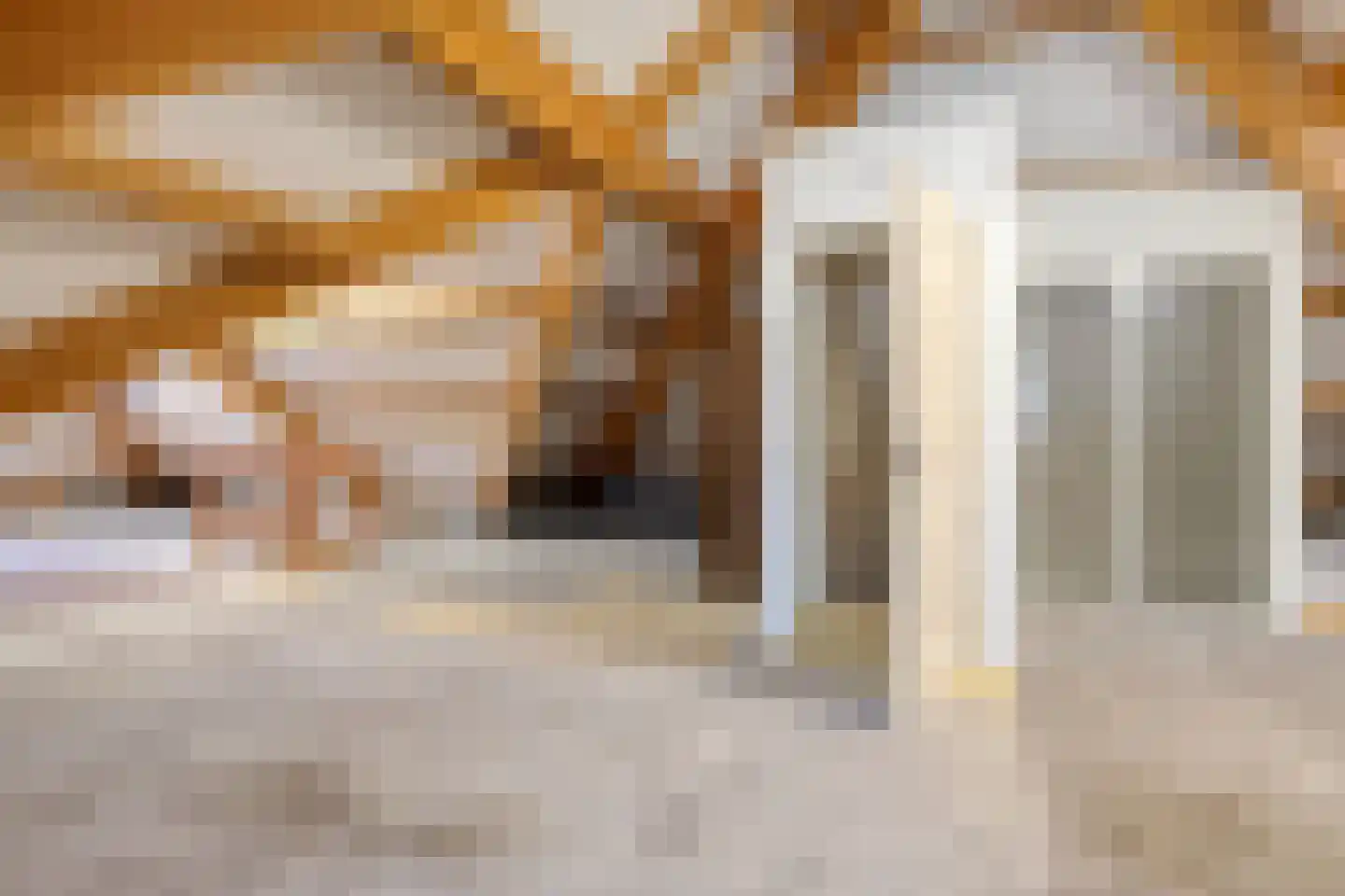 Gildehauserdijk 3 Denekamp thumbnail 34