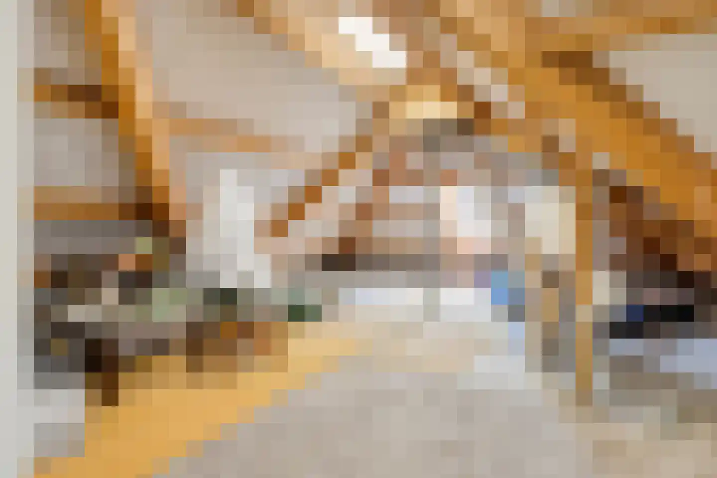Gildehauserdijk 3 Denekamp thumbnail 37