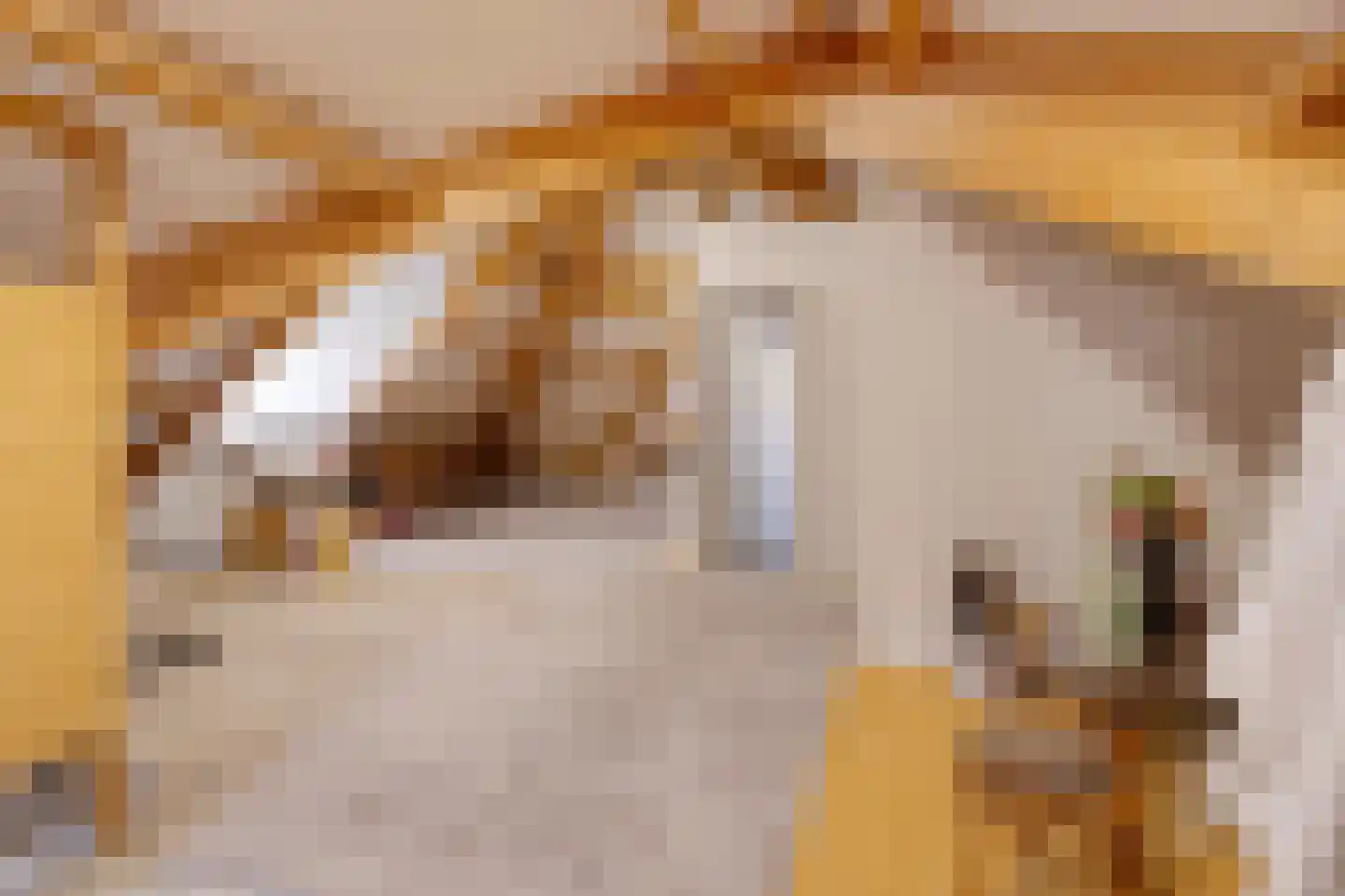Gildehauserdijk 3 Denekamp thumbnail 38
