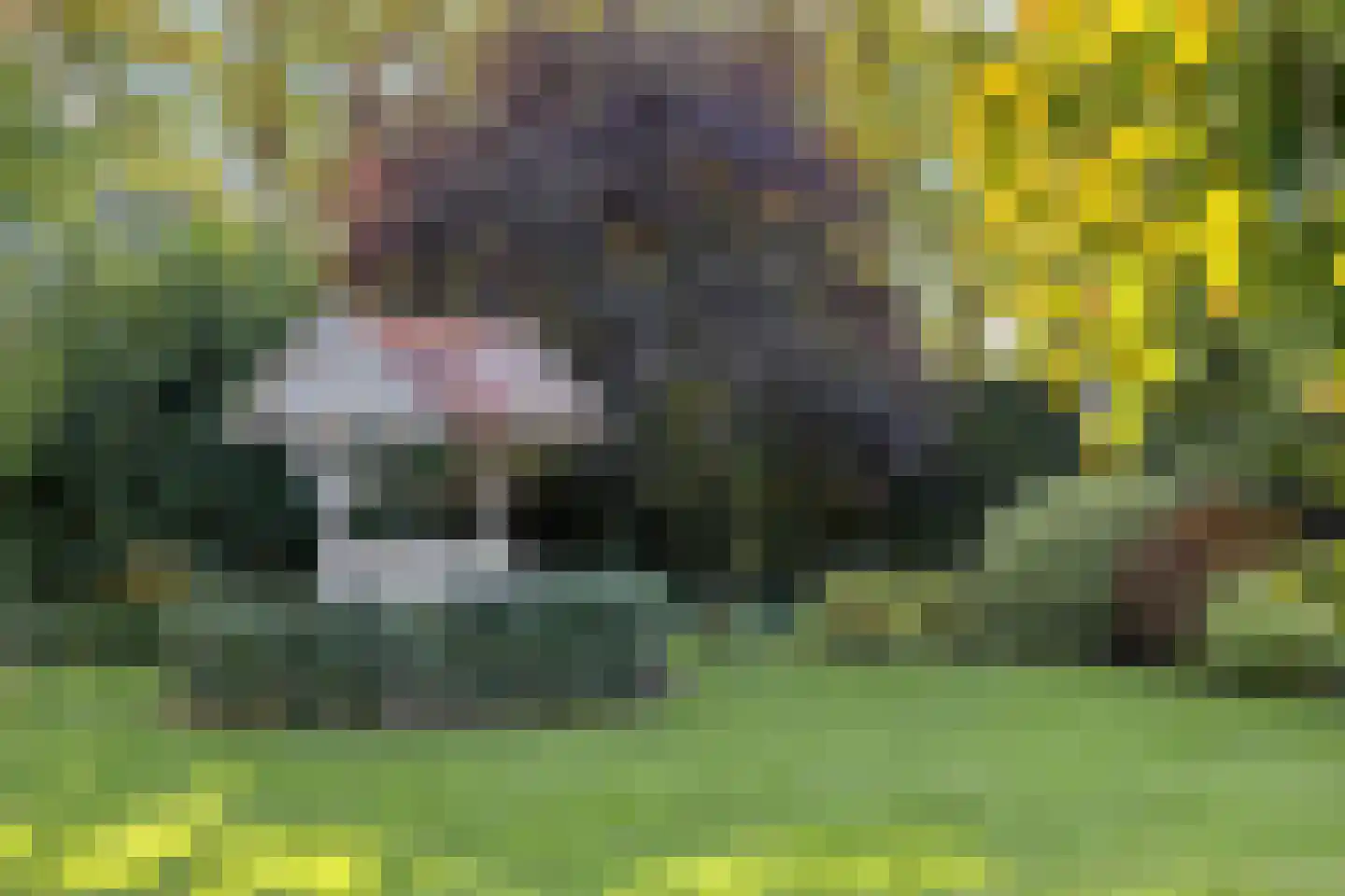 Gildehauserdijk 3 Denekamp thumbnail 40