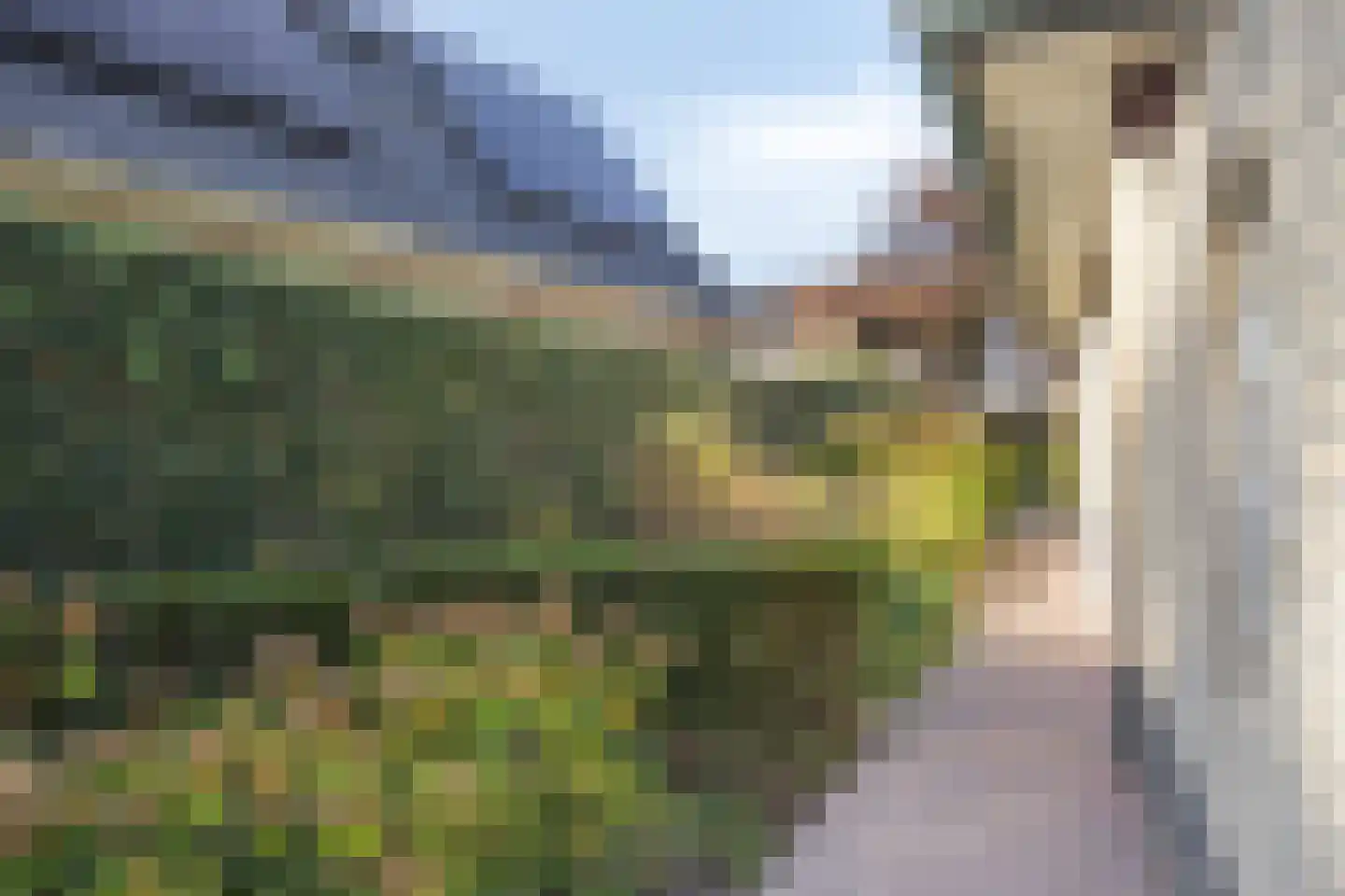Gildehauserdijk 3 Denekamp thumbnail 47