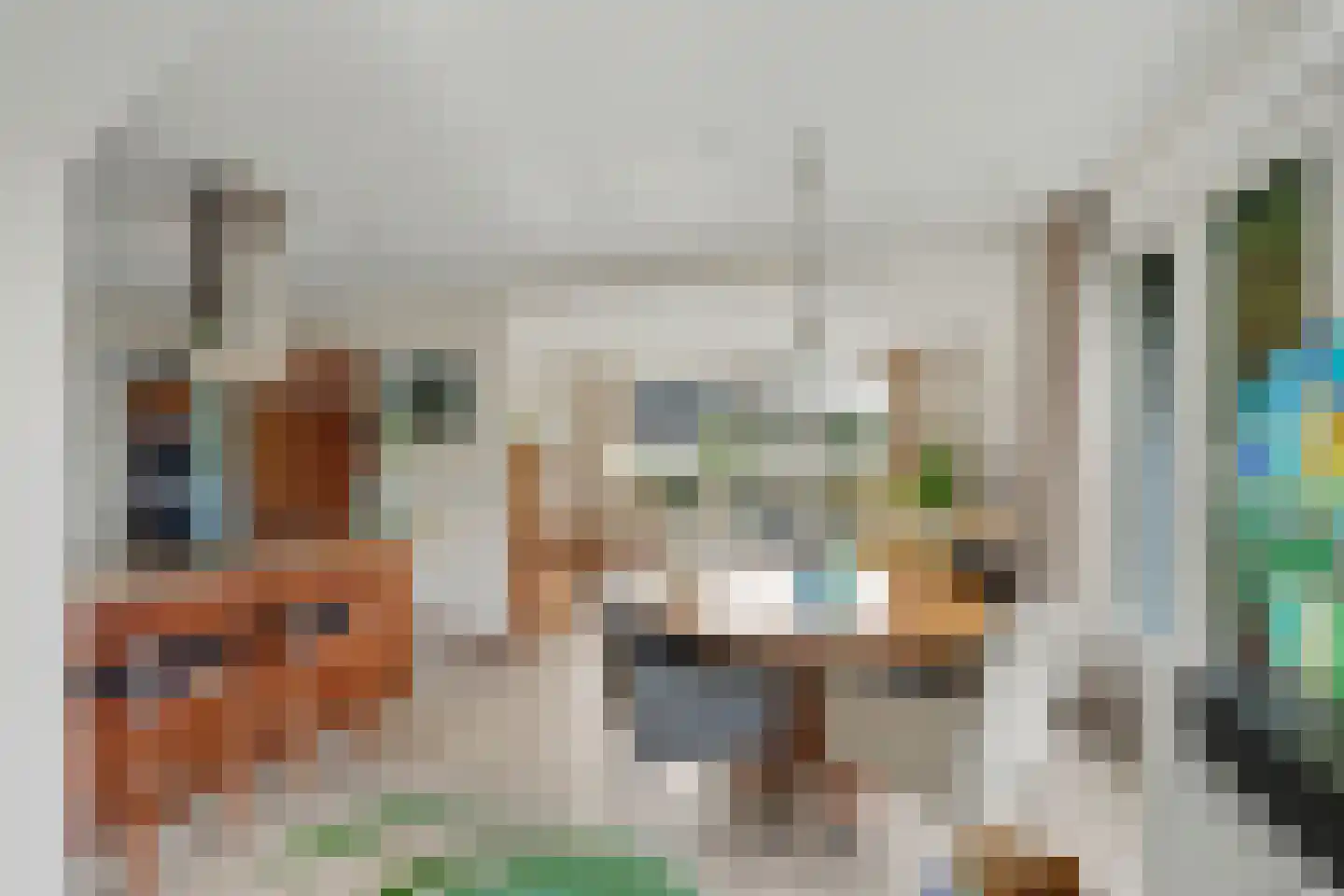 Gildehauserweg 11 Losser thumbnail 12