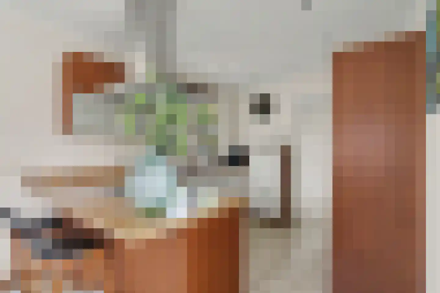 Gildehauserweg 11 Losser thumbnail 13