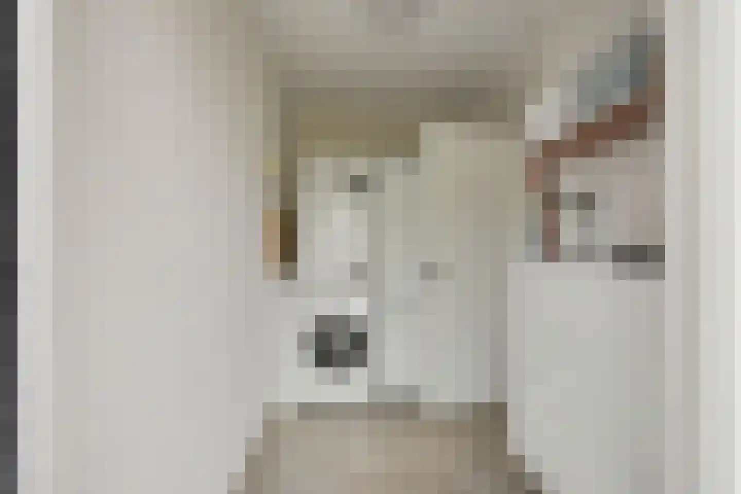 Gildehauserweg 11 Losser thumbnail 15