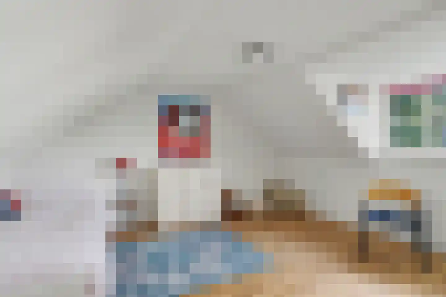 Gildehauserweg 11 Losser thumbnail 26