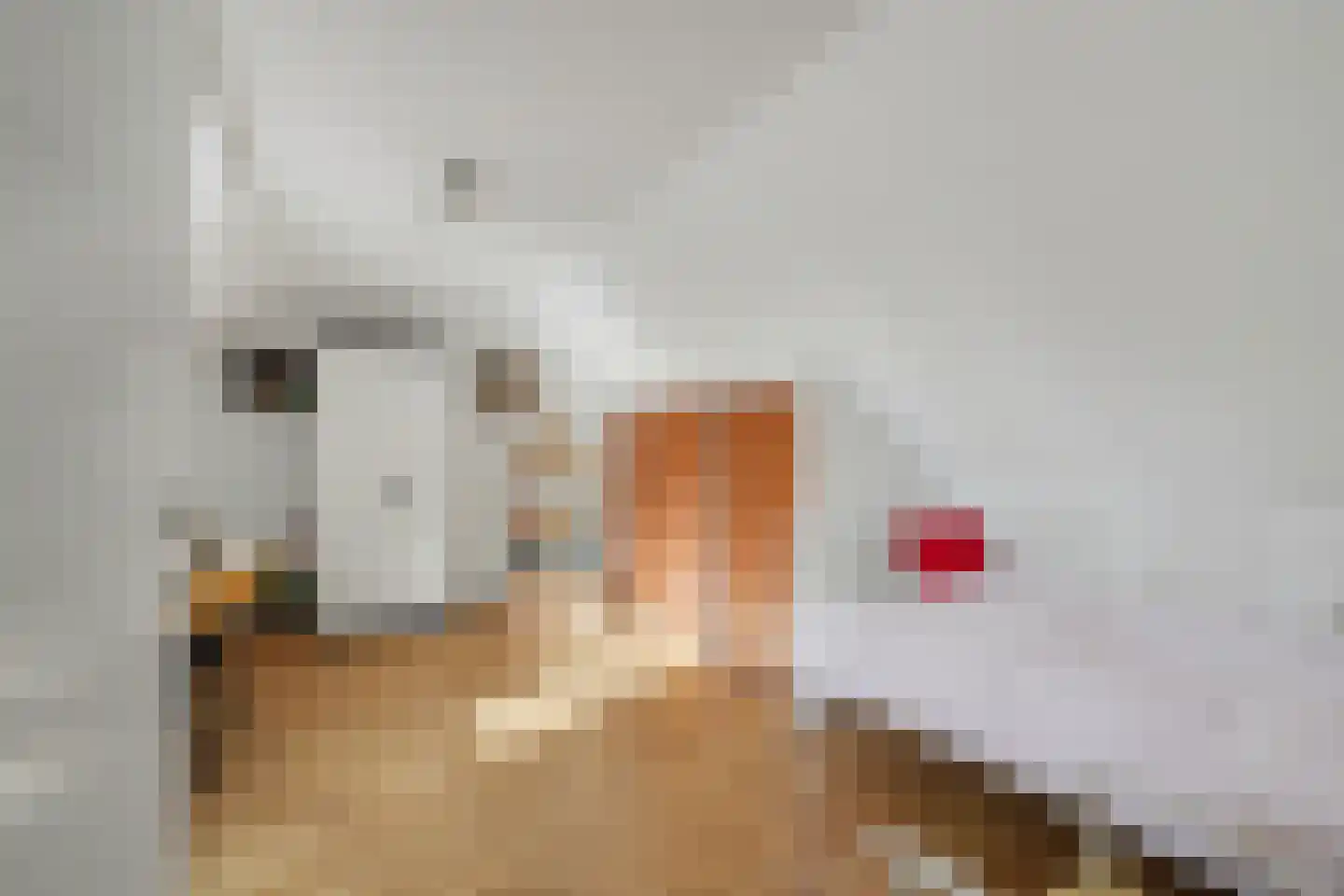 Gildehauserweg 11 Losser thumbnail 28