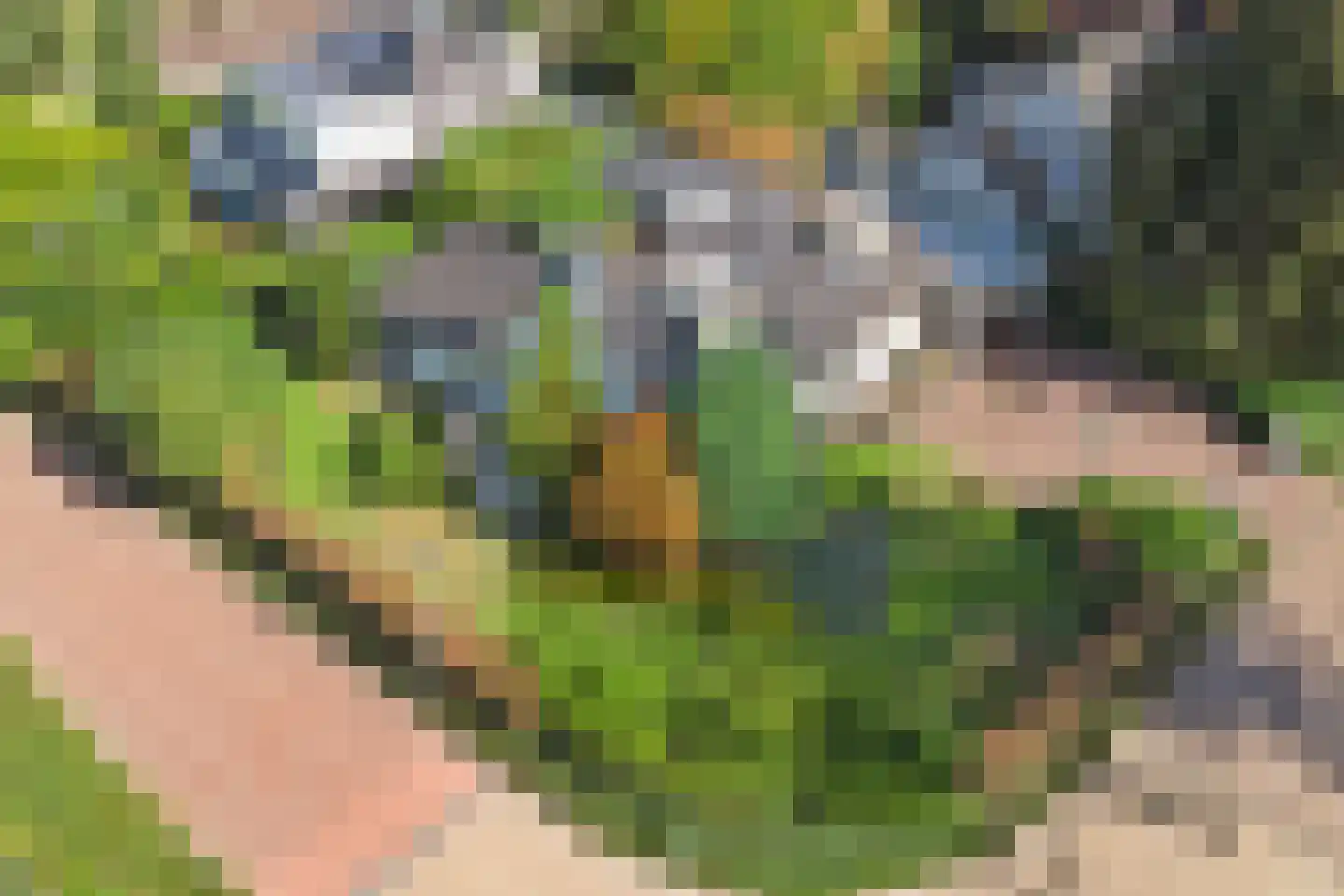 Gildehauserweg 11 Losser thumbnail 4
