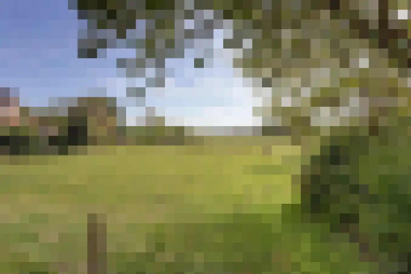 Gildehauserweg 11 Losser thumbnail 40