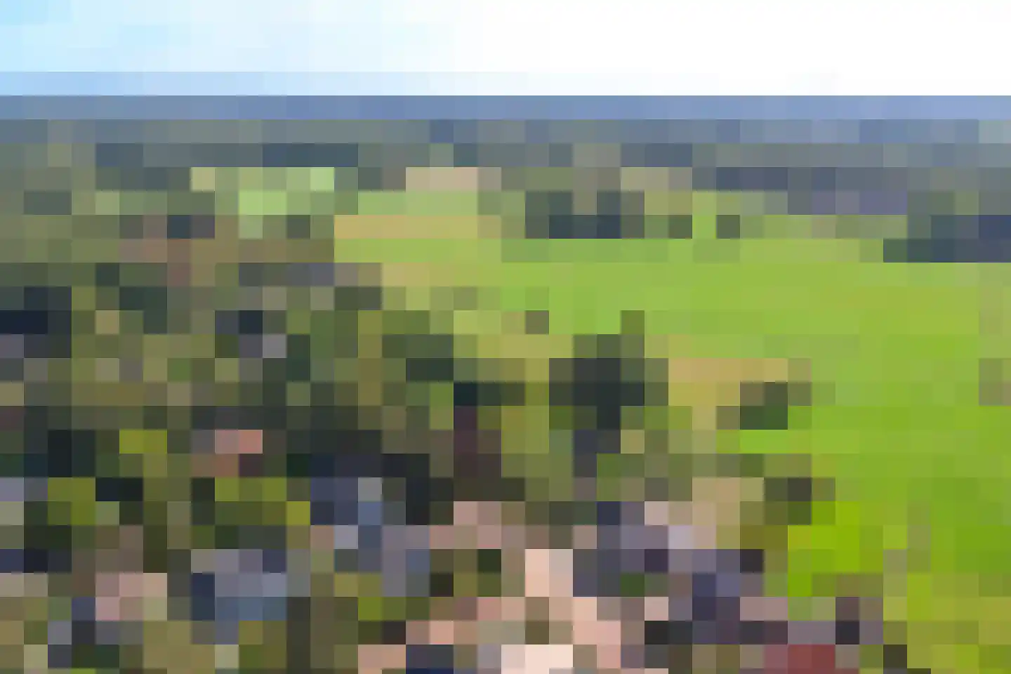 Gildehauserweg 11 Losser thumbnail 42