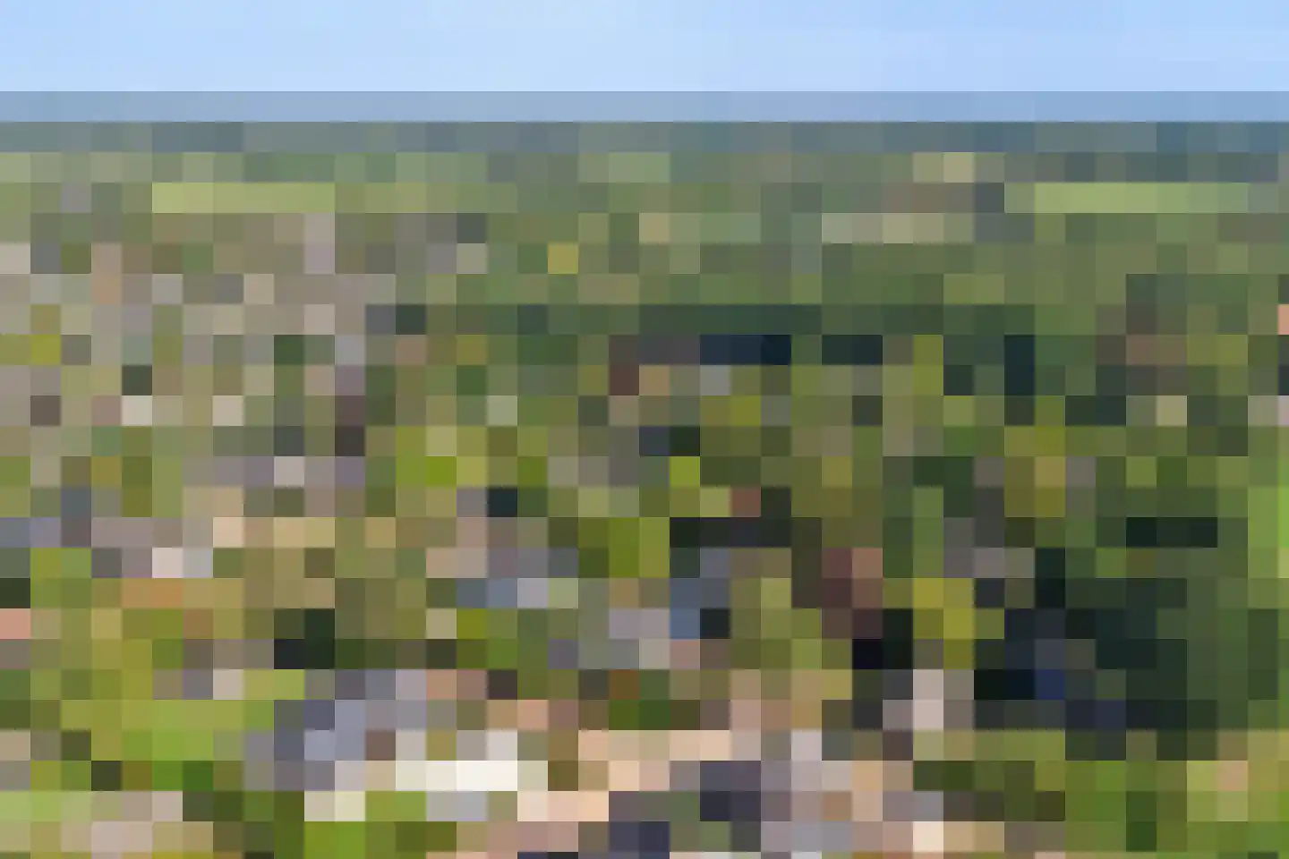 Gildehauserweg 11 Losser thumbnail 43