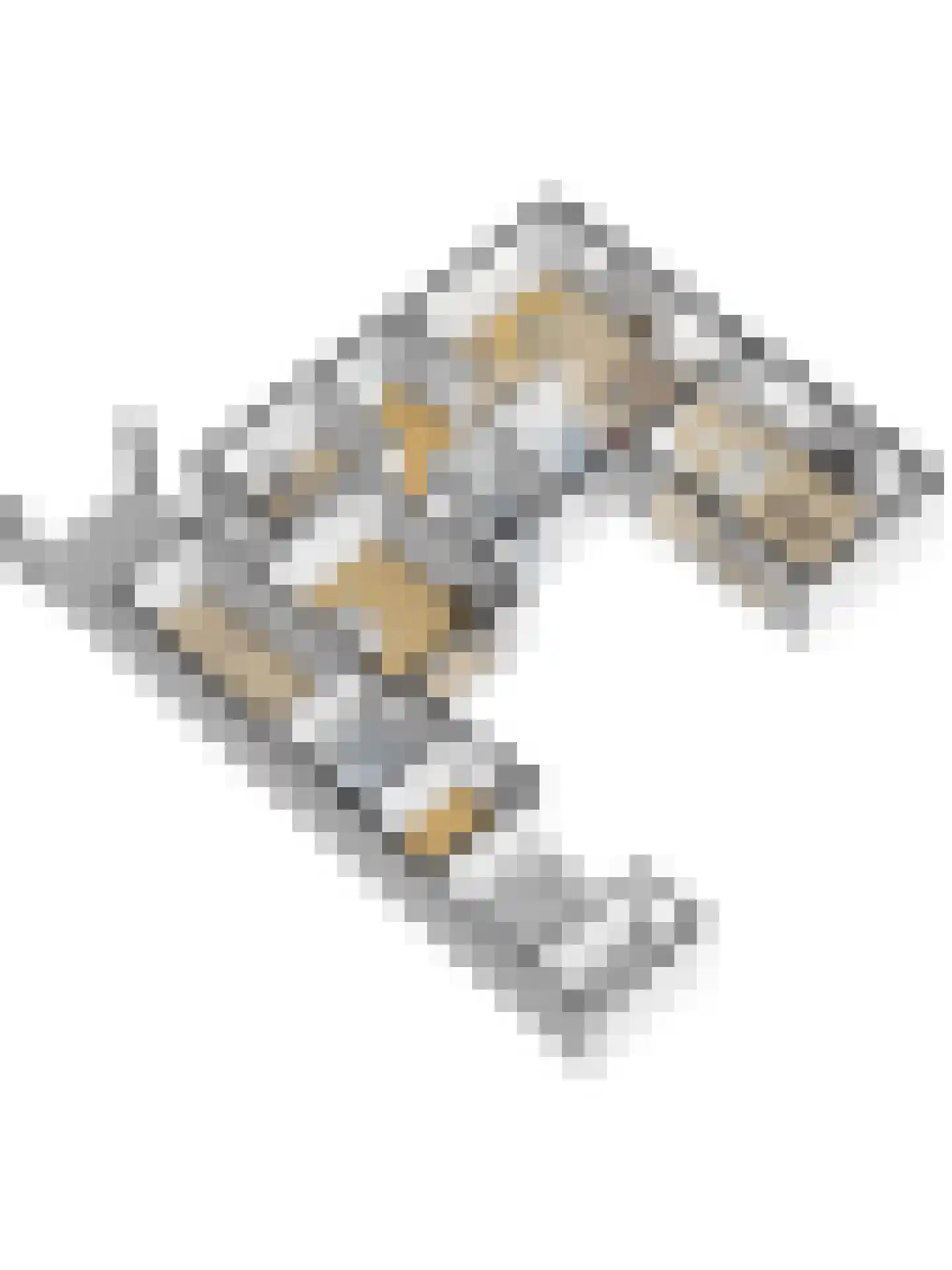 Gildehauserweg 11 Losser thumbnail 47