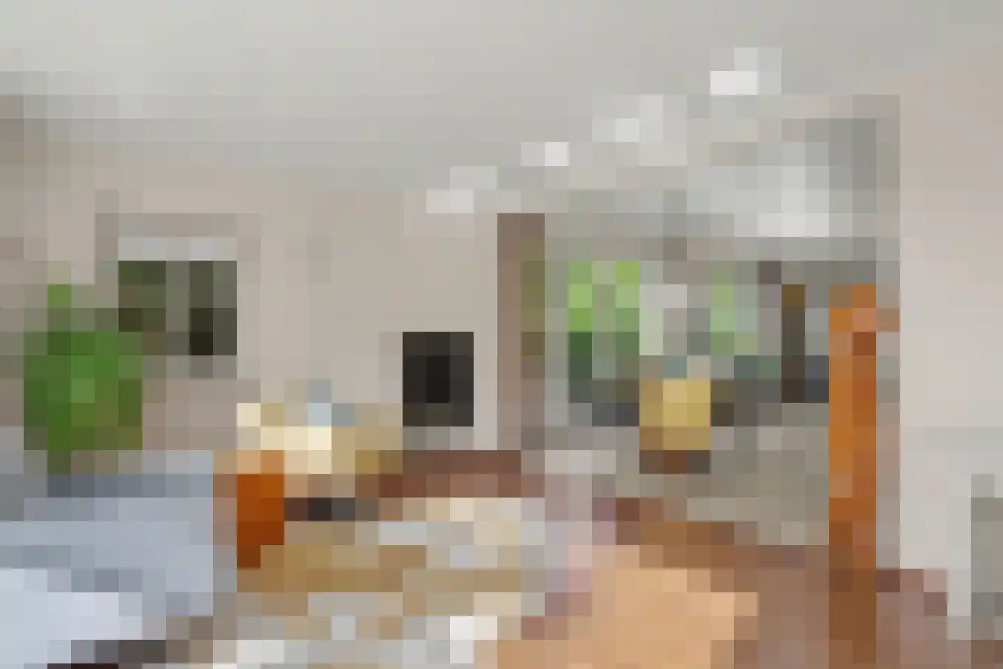 Gildehauserweg 11 Losser thumbnail 9