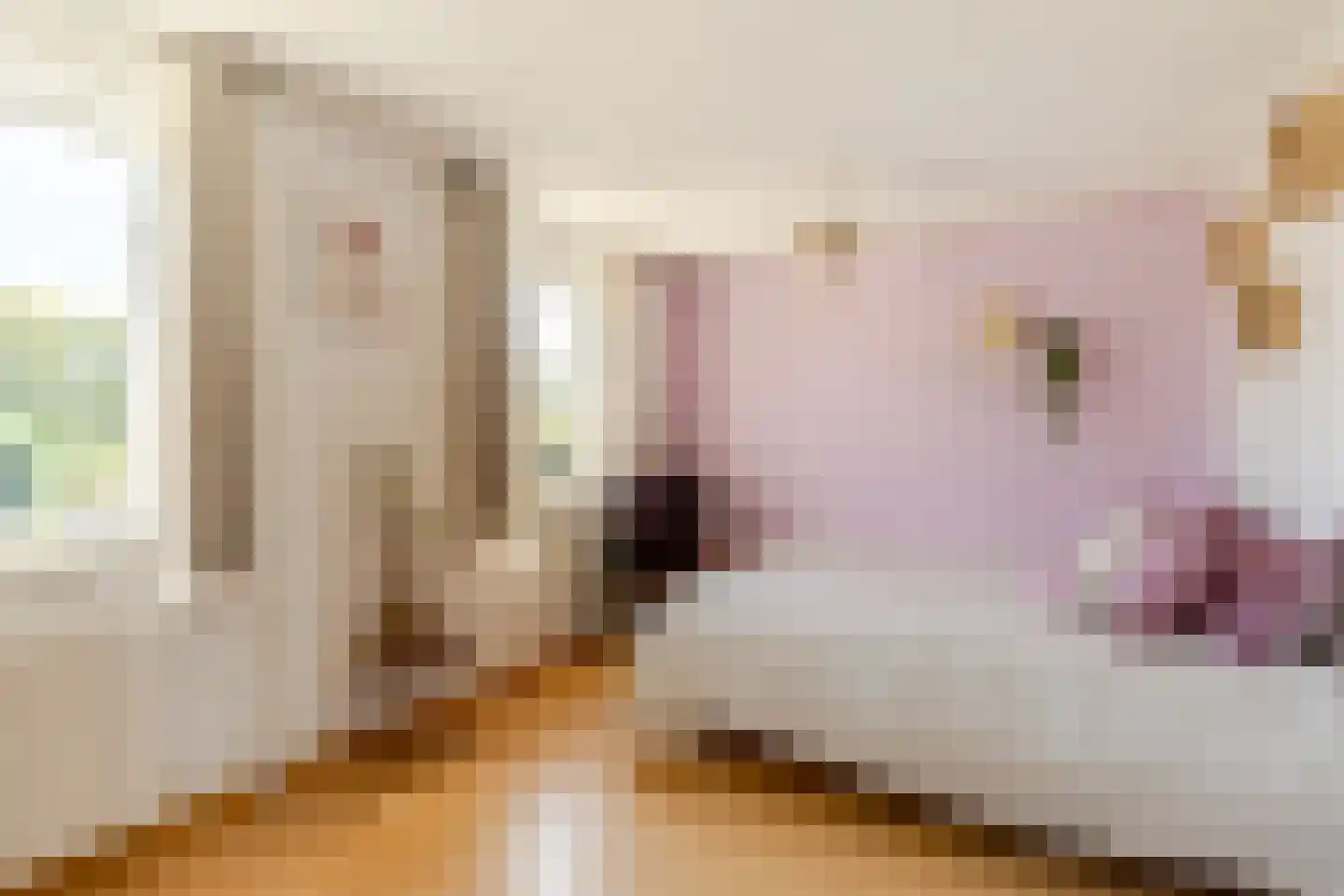 Gildehof 14 Helvoirt thumbnail 11