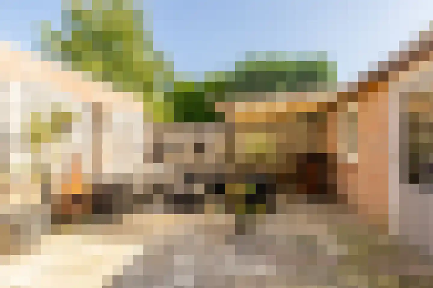 Gildehof 14 Helvoirt thumbnail 24
