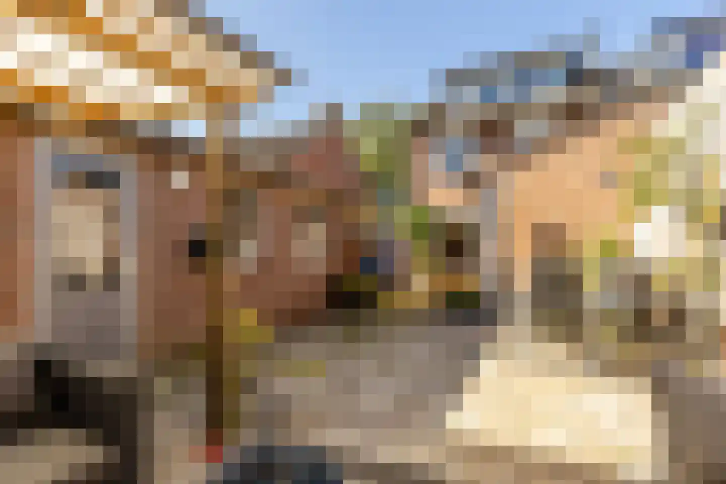 Gildehof 14 Helvoirt thumbnail 25