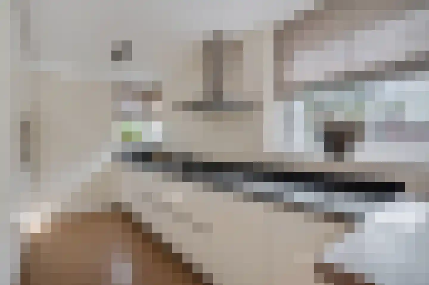 Gildehof 2 Tiel thumbnail 17