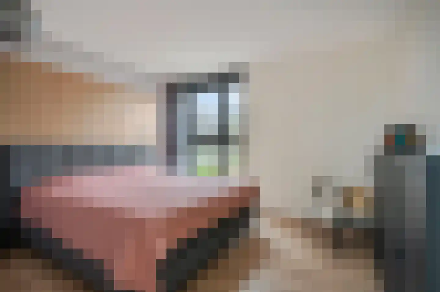 Gildehof 2 Tiel thumbnail 4