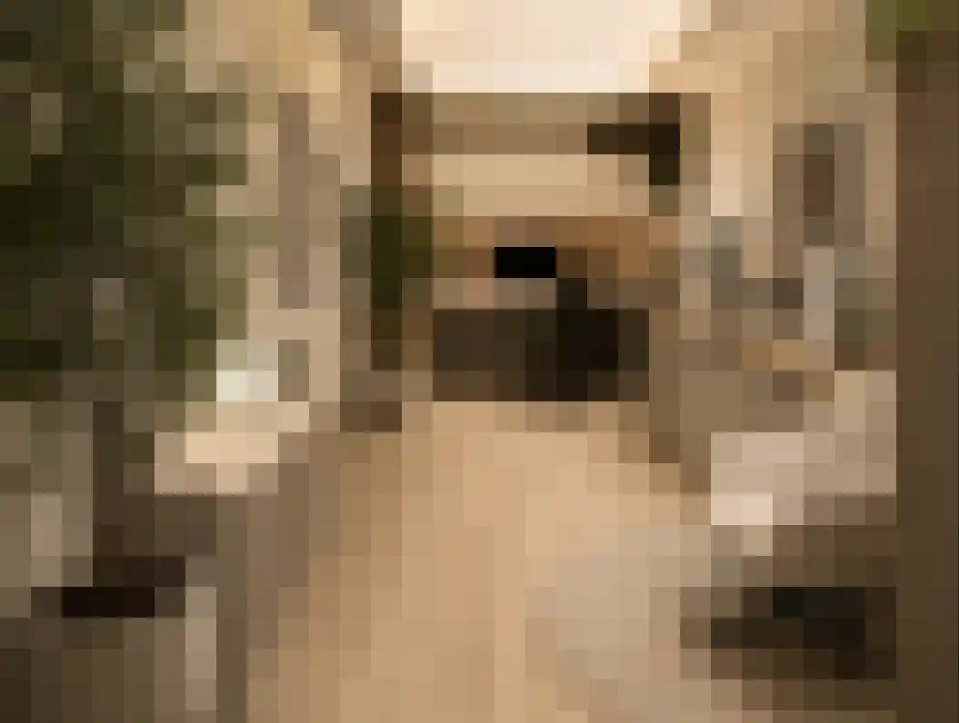Gildehof 2 Tiel thumbnail 49