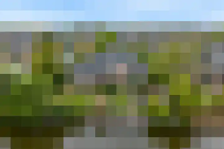 Gildelaan 71 Medemblik foto 3