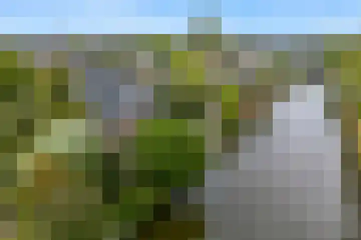 Gildelaan 71 Medemblik thumbnail 68