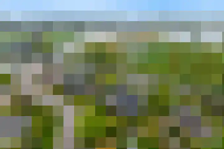 Gildelaan 71 Medemblik thumbnail 71