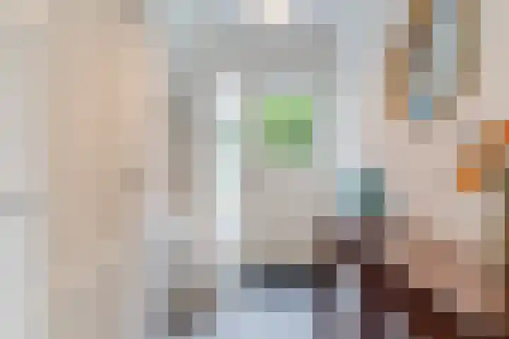 Gildelaan 74 Hilvarenbeek thumbnail 26