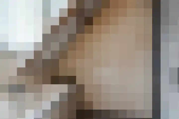 Gildelaan 74 Hilvarenbeek thumbnail 41