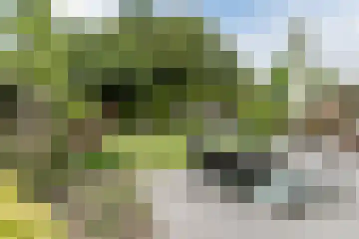 Gildelaan 74 Hilvarenbeek thumbnail 54