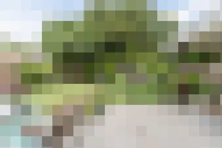 Gildelaan 74 Hilvarenbeek thumbnail 55