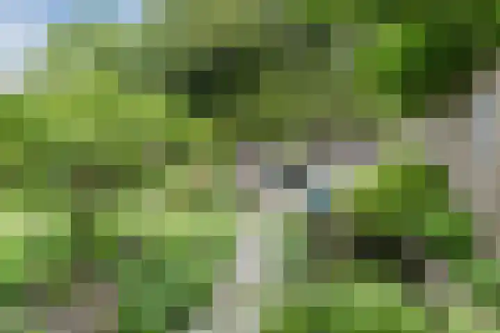 Gildelaan 74 Hilvarenbeek thumbnail 59