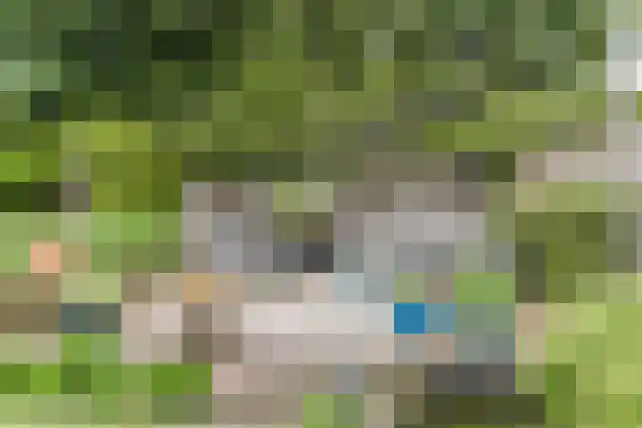 Gildelaan 74 Hilvarenbeek thumbnail 60