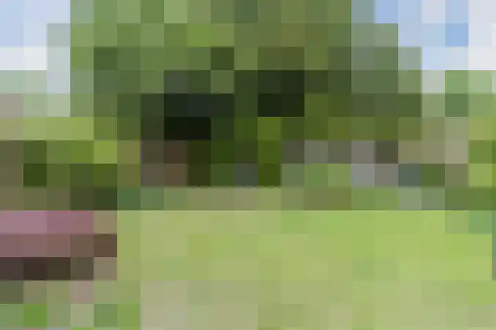 Gildelaan 74 Hilvarenbeek thumbnail 61