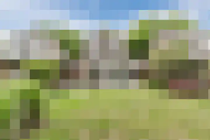 Gildelaan 74 Hilvarenbeek thumbnail 63