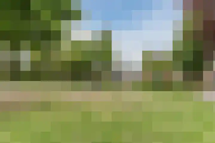 Gildelaan 74 Hilvarenbeek thumbnail 65