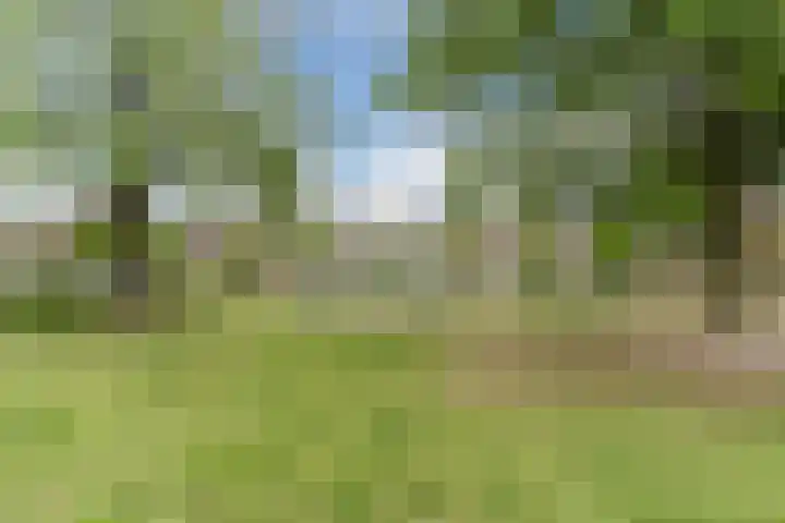 Gildelaan 74 Hilvarenbeek thumbnail 66