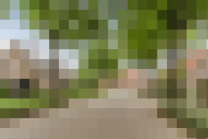 Gildelaan 74 Hilvarenbeek thumbnail 73