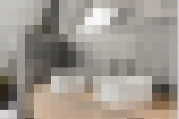 Gildelaan 90 Hilvarenbeek thumbnail 25