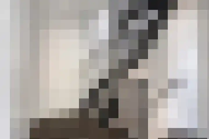 Gildelaan 90 Hilvarenbeek thumbnail 29