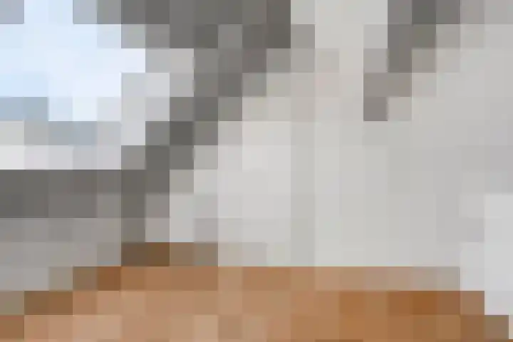 Gildelaan 90 Hilvarenbeek thumbnail 32