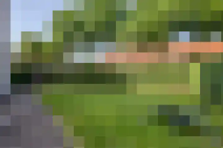 Gildelaan 90 Hilvarenbeek thumbnail 34