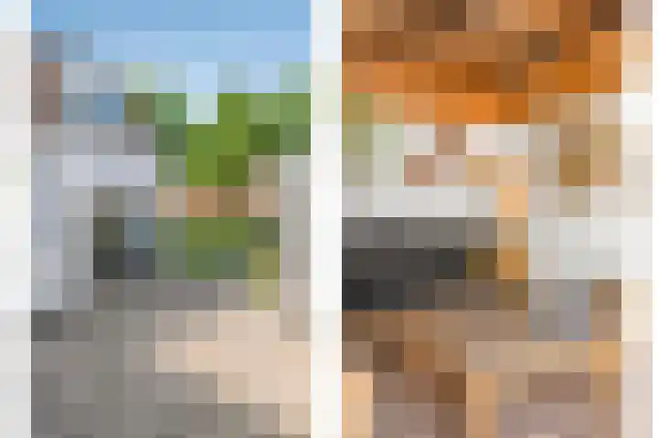 Gildelaan 90 Hilvarenbeek thumbnail 38