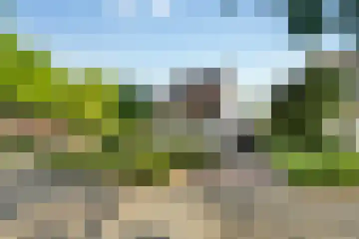 Gildelaan 90 Hilvarenbeek thumbnail 44