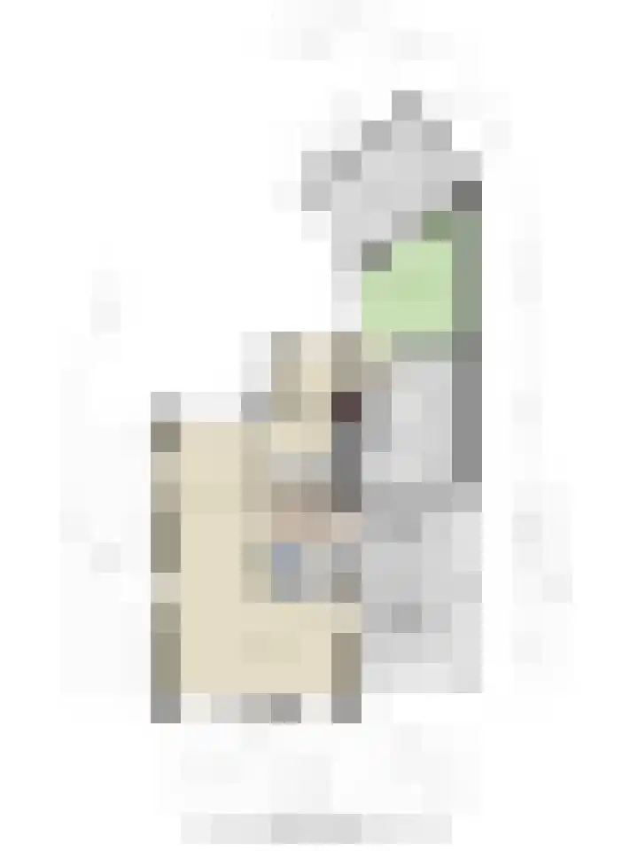 Gildelaan 90 Hilvarenbeek thumbnail 47
