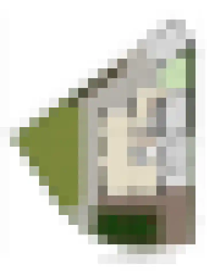 Gildelaan 90 Hilvarenbeek thumbnail 50