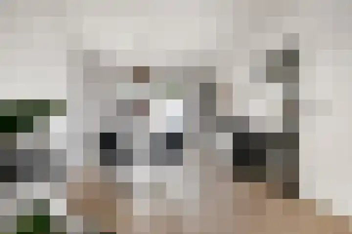 Gildelaan 90 Hilvarenbeek thumbnail 6