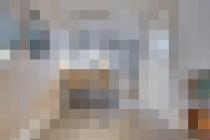 Gildelaan 91 Hilvarenbeek thumbnail 12