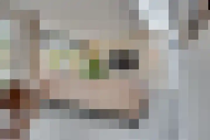 Gildelaan 91 Hilvarenbeek thumbnail 21