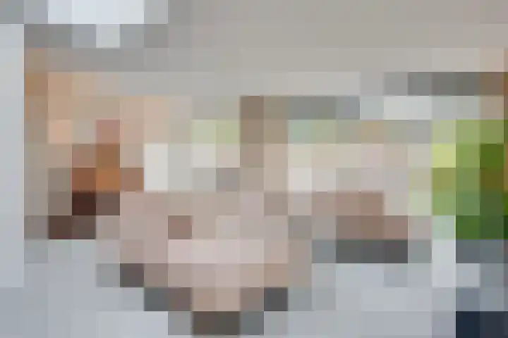Gildelaan 91 Hilvarenbeek thumbnail 22