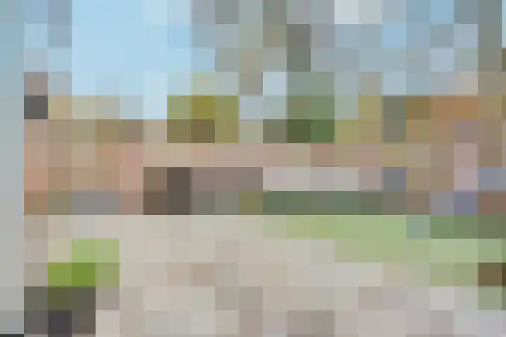 Gildelaan 91 Hilvarenbeek thumbnail 36